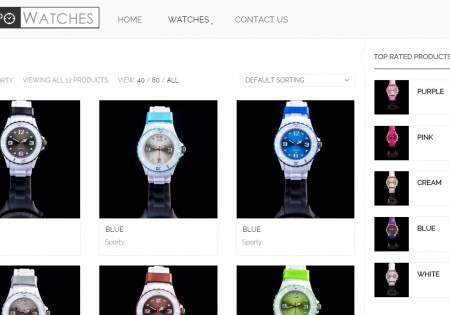 Tempo Watches